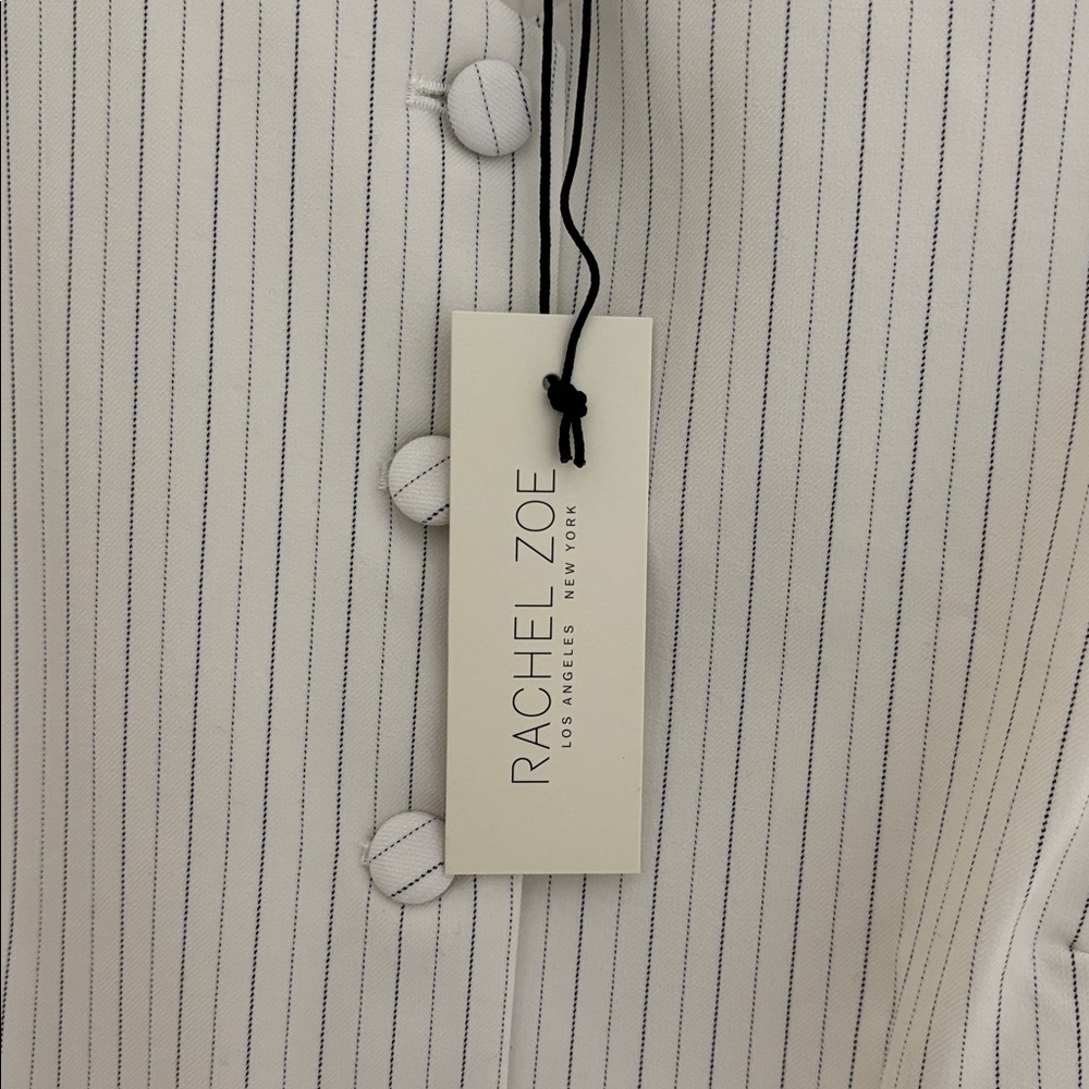 Rachel Zoe Ivory Pinstripe Buttoned Vest - Picture 3 of 5
